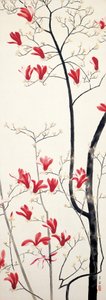 Magnolia